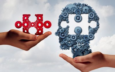 La Formation : un investissement nécessaire pour réussir dans sa carrière
