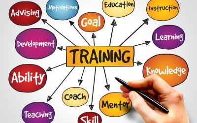 Pourquoi la formation est la clé du succès : un guide complet pour maximiser vos compétences